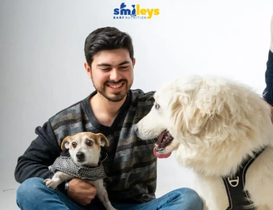 alimentos recomendados para los perros