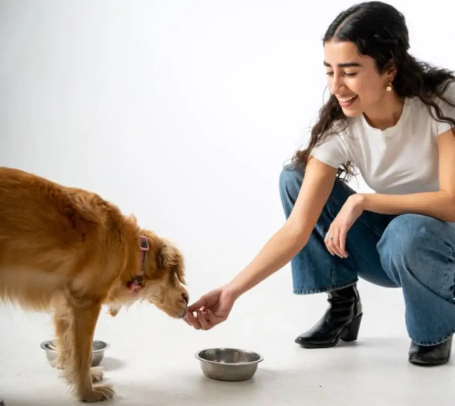 dieta-barf-para-perros-receta